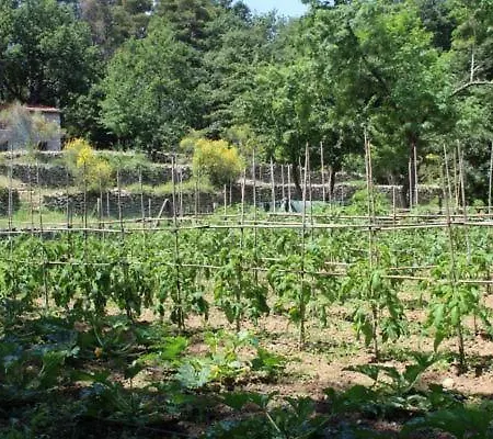 Bruxinha Nyaraló