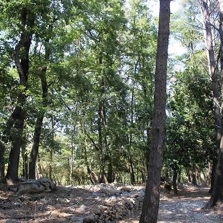Bruxinha Monte Marcello