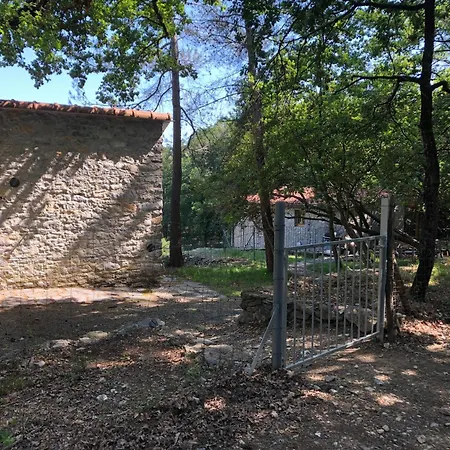 Bruxinha Nyaraló *