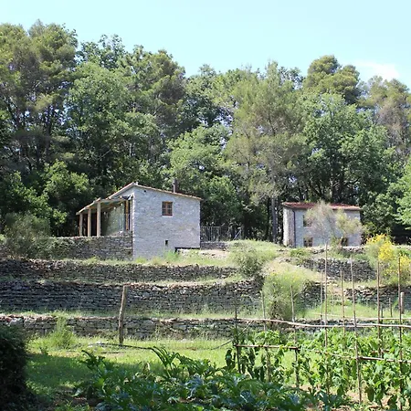 Bruxinha Nyaraló